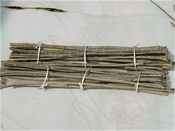 鬼胡桃（オニグルミ）木皮（灰色系）８０サイズ　１Kg