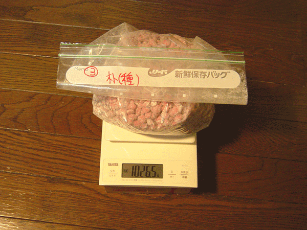 画像4: 朴(ホオ）　種（実生用・生）　１０ｇ